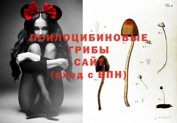 скорость Абаза
